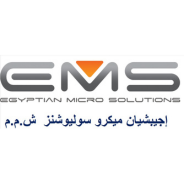 Egyptian Micro Solutions